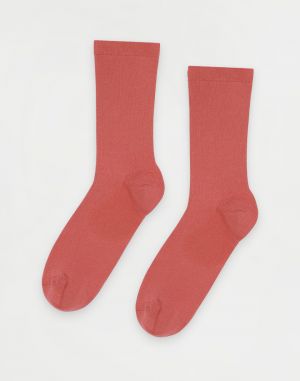 Colorful Standard Women Classic Organic Sock Bright Coral