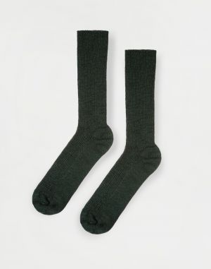 ferdinand Muji Green