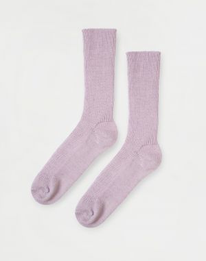 ferdinand Muji Violet