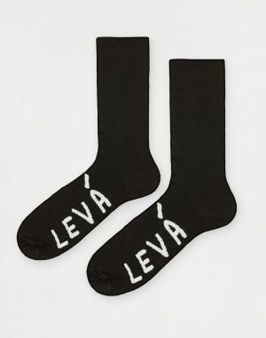 ferdinand Levá
