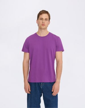 Organic Basics True Regular Fit Tee Aubergine