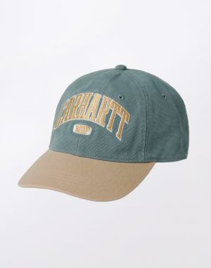 Carhartt WIP Lecture Cap Silver Pine/Dusty H Brown