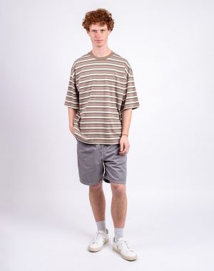 Carhartt WIP S/S Nathan T-Shirt Nathan Stripe, Branch