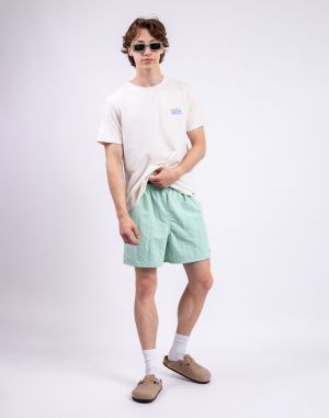 Patagonia M's Baggies Shorts - 5 in. Rinsed Green