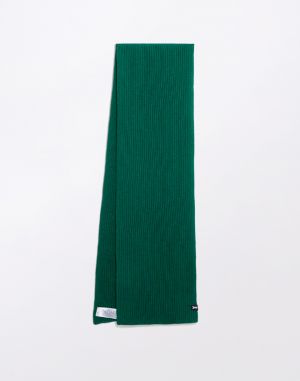 Armedangels Iconic A Claasa Cotton Schal 129 emerald green