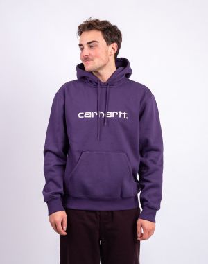 Carhartt WIP Hooded Carhartt Sweat Lokers/Salt