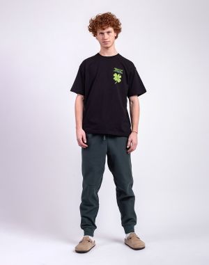 Carhartt WIP American Script Jogging Pant Kale Green