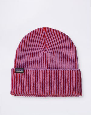 Patagonia Fishermans Rolled Beanie Contrast Stripe: Brisk Purple