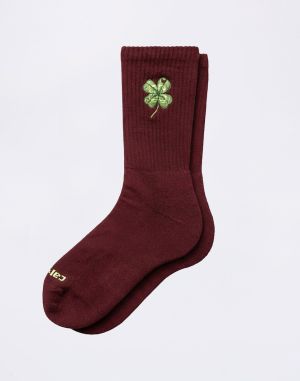 Carhartt WIP Clover Socks Marsala