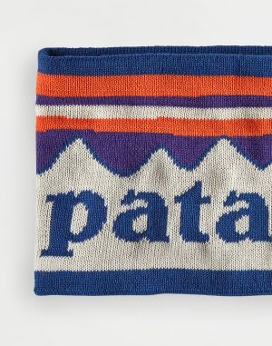 Patagonia Powder Town Headband FRSW galéria