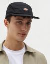 Dickies Albertville Black galéria