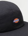 Dickies Albertville Black galéria