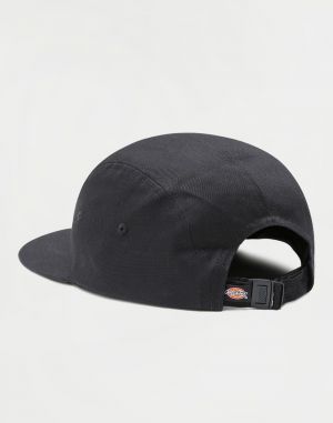 Dickies Albertville Black galéria