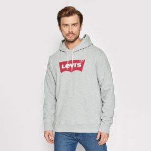 Levi's Graphic Hoodie