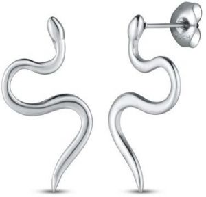 VUCH Náušnice Vireya Silver