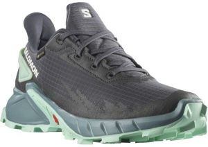 Salomon ALPHACROSS 4 GTX W Dámska trailová obuv, sivá, veľkosť 40 2/3