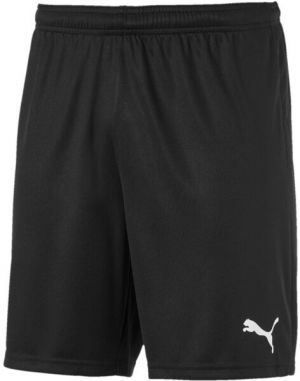 Puma TEAM GOAL 23 KNIT SHORTS Pánske šortky, čierna, veľkosť