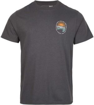 O'Neill VINAS T-SHIRT Pánske tričko, tmavo sivá, veľkosť