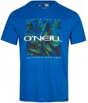 O'Neill CRAZY T-SHIRT Pánske tričko, modrá, veľkosť