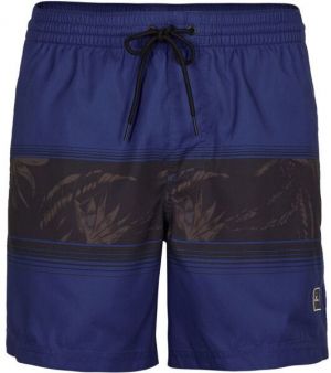 O'Neill CALI STRIPE SHORTS Pánske plavecké šortky, tmavo modrá, veľkosť