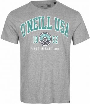 O'Neill SURF STATE T-SHIRT Pánske tričko, sivá, veľkosť