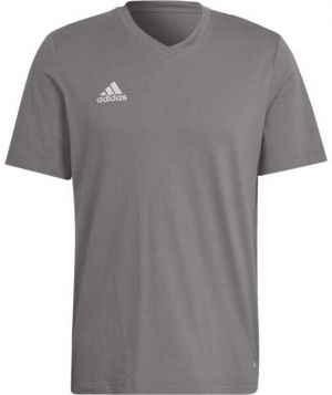 adidas ENT22 TEE Pánske tričko, sivá, veľkosť