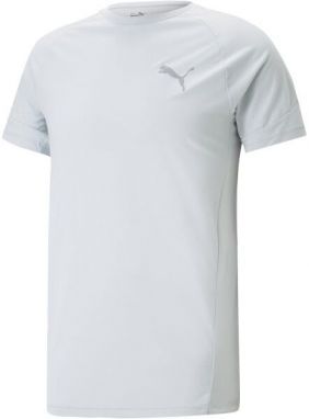 Puma EVOSTRIPE TEE Pánske športové tričko, biela, veľkosť