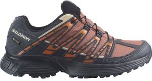 Salomon XT RECKON GTX W Dámska trailová obuv, hnedá, veľkosť 40