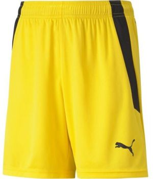 Puma TEAMLIGA SHORTS JR Juniorské šortky, žltá, veľkosť