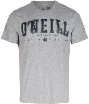 O'Neill STATE MUIR T-SHIRT Pánske tričko, sivá, veľkosť