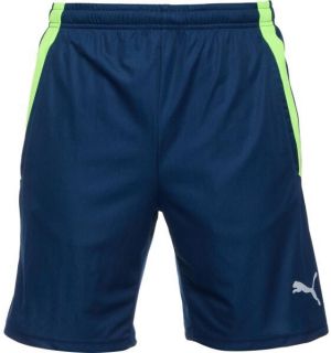 Puma TEAMLIGA TRAINING SHORTS 2 Pánske futbalové šortky, modrá, veľkosť
