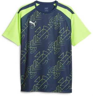 Puma TEAMLIGA GRAPHIC JERSEY Pánske futbalové tričko, tmavo modrá, veľkosť