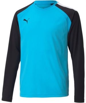Puma TEAMGLORY JERSEY Pánske futbalové tričko, modrá, veľkosť