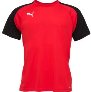 Puma TEAMGLORY JERSEY Pánske futbalové tričko, červená, veľkosť