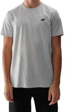4F T-SHIRT Pánske tričko, sivá, veľkosť