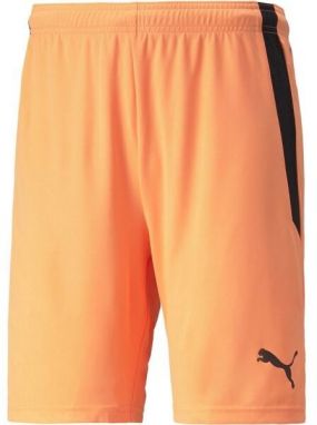 Puma TEAM LIGA SHORTS Pánske šortky, oranžová, veľkosť