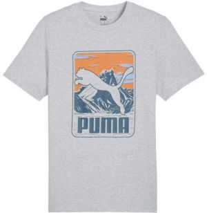 Puma GRAPHIC MOUNTAIN TEE Pánske tričko, sivá, veľkosť