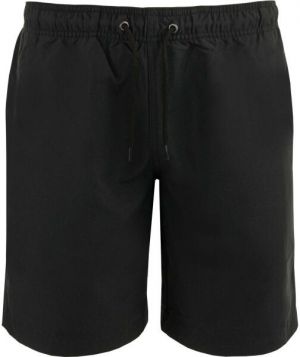 ALPINE PRO SQET Pánske kraťasy, čierna, veľkosť