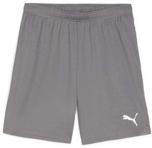 Puma TEAMGOAL SHORTS Pánske futbalové šortky, sivá, veľkosť