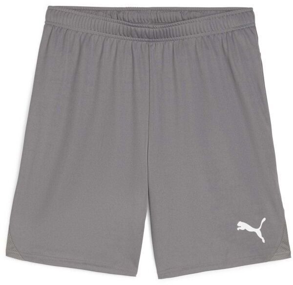 Puma TEAMGOAL SHORTS Pánske futbalové šortky, sivá, veľkosť