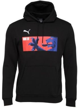 Puma TEAMGOAL 23 CAUSALS HOODY Pánska futbalová mikina, čierna, veľkosť