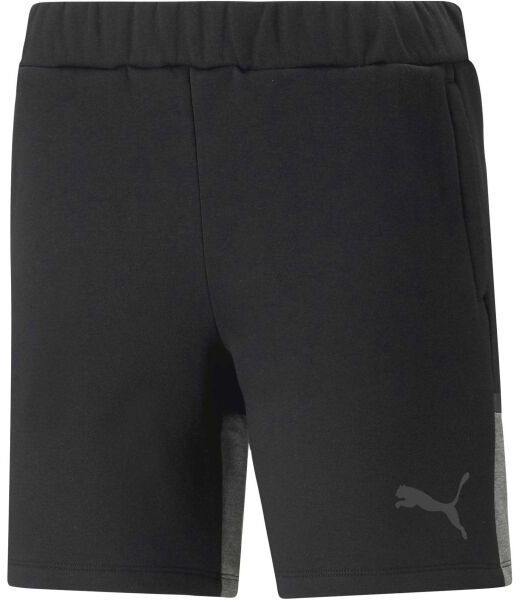 Puma TEAMCUP CASUALS SHORTS Pánske športové šortky, čierna, veľkosť