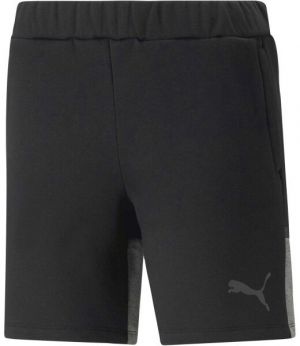 Puma TEAMCUP CASUALS SHORTS Pánske športové šortky, čierna, veľkosť