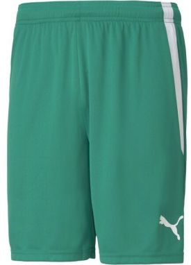 Puma TEAM LIGA SHORTS Pánske šortky, zelená, veľkosť