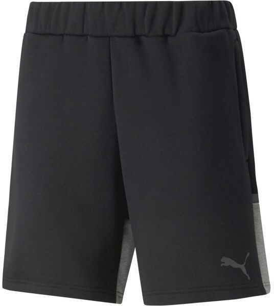 Puma TEAMCUP CASUALS SHORTS Pánske športové šortky, čierna, veľkosť