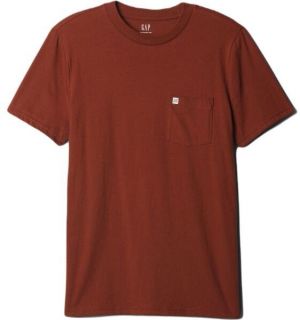 GAP INTL - F SS Pánske tričko, hnedá, veľkosť