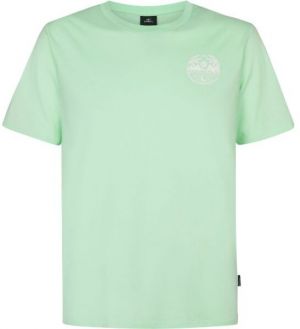 O'Neill CHEST PRINT Pánske tričko, světle zelená, veľkosť