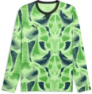 Puma TEAMTARGET GL LS JERSEY Pánsky brankársky dres, zelená, veľkosť
