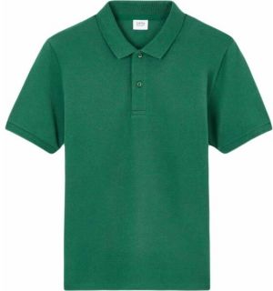 CELIO TEONE Pánske polo tričko, tmavě zelená, veľkosť