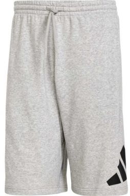 adidas ESSENTIALS BIG LOGO FRENCH TERRY SHORTS Pánske kraťasy, sivá, veľkosť XXXL